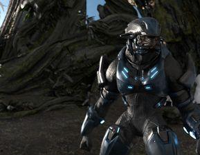 赫利 1982  第3张