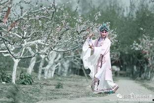 乡村女人花,绽放的坚韧与美丽  第3张